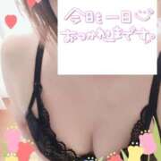 ヒメ日記 2025/04/07 19:57 投稿 井上りん 恋する奥さん 西中島店