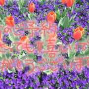 ヒメ日記 2025/04/09 03:23 投稿 井上りん 恋する奥さん 西中島店