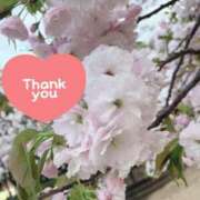 ヒメ日記 2025/04/13 19:26 投稿 井上りん 恋する奥さん 西中島店