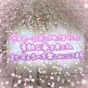 ヒメ日記 2025/04/14 20:39 投稿 井上りん 恋する奥さん 西中島店