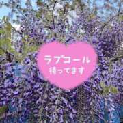 ヒメ日記 2025/04/16 19:27 投稿 井上りん 恋する奥さん 西中島店