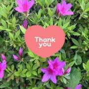 ヒメ日記 2025/04/19 17:23 投稿 井上りん 恋する奥さん 西中島店