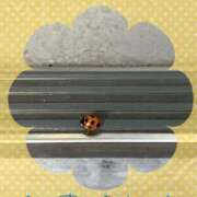 ヒメ日記 2025/04/27 22:59 投稿 井上りん 恋する奥さん 西中島店