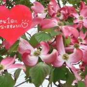 ヒメ日記 2025/05/03 08:00 投稿 井上りん 恋する奥さん 西中島店