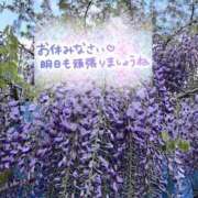 ヒメ日記 2025/05/08 00:44 投稿 井上りん 恋する奥さん 西中島店