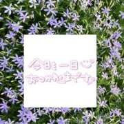 ヒメ日記 2025/05/27 01:12 投稿 井上りん 恋する奥さん 西中島店