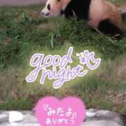 ヒメ日記 2025/05/28 03:00 投稿 井上りん 恋する奥さん 西中島店