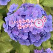 ヒメ日記 2025/06/10 21:26 投稿 井上りん 恋する奥さん 西中島店