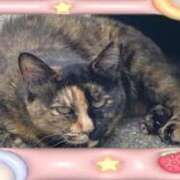 ヒメ日記 2025/06/24 20:52 投稿 井上りん 恋する奥さん 西中島店