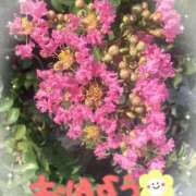 ヒメ日記 2025/07/14 07:06 投稿 井上りん 恋する奥さん 西中島店