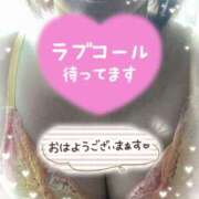 ヒメ日記 2025/07/25 07:22 投稿 井上りん 恋する奥さん 西中島店