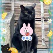 ヒメ日記 2025/08/07 21:04 投稿 井上りん 恋する奥さん 西中島店