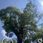 ヒメ日記 2025/08/24 12:43 投稿 井上りん 恋する奥さん 西中島店