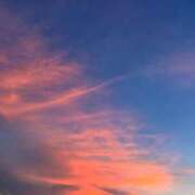 ヒメ日記 2025/09/16 01:16 投稿 井上りん 恋する奥さん 西中島店