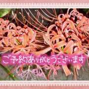 ヒメ日記 2025/09/27 20:36 投稿 井上りん 恋する奥さん 西中島店