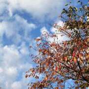 ヒメ日記 2025/11/21 07:29 投稿 井上りん 恋する奥さん 西中島店