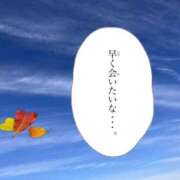 ヒメ日記 2025/11/26 07:04 投稿 井上りん 恋する奥さん 西中島店