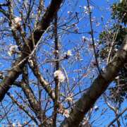 ヒメ日記 2026/01/23 01:40 投稿 井上りん 恋する奥さん 西中島店