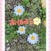 ヒメ日記 2026/02/19 07:28 投稿 井上りん 恋する奥さん 西中島店