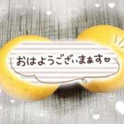 ヒメ日記 2026/02/28 07:43 投稿 井上りん 恋する奥さん 西中島店