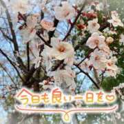 ヒメ日記 2026/03/10 07:09 投稿 井上りん 恋する奥さん 西中島店