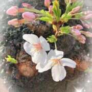 ヒメ日記 2026/04/01 07:40 投稿 井上りん 恋する奥さん 西中島店