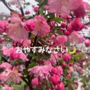 ヒメ日記 2026/04/01 23:43 投稿 井上りん 恋する奥さん 西中島店