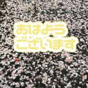 ヒメ日記 2026/04/13 07:50 投稿 井上りん 恋する奥さん 西中島店