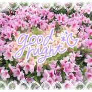 ヒメ日記 2026/04/23 22:21 投稿 井上りん 恋する奥さん 西中島店