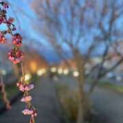 ヒメ日記 2025/04/20 12:18 投稿 ゆな 今日から私はエステティシャン