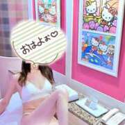 ヒメ日記 2025/04/20 06:38 投稿 しおり 艶姫（つやひめ）