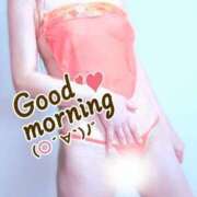 ヒメ日記 2025/06/05 09:18 投稿 しおり 艶姫（つやひめ）