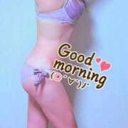 ヒメ日記 2025/08/16 08:15 投稿 しおり 艶姫（つやひめ）