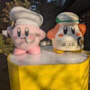 ヒメ日記 2024/12/18 15:35 投稿 さえ 若葉