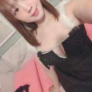 ヒメ日記 2025/12/31 09:05 投稿 さえ 若葉