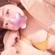 ヒメ日記 2025/12/06 12:44 投稿 みん 品川女子大生キャンパス