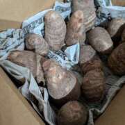 ヒメ日記 2025/12/18 19:41 投稿 あさみ 熟女の風俗最終章 本厚木店