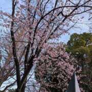 ヒメ日記 2026/03/06 19:45 投稿 あさみ 熟女の風俗最終章 本厚木店