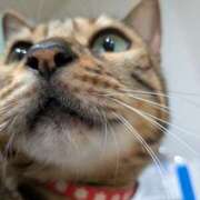 ヒメ日記 2026/03/09 10:51 投稿 あさみ 熟女の風俗最終章 本厚木店