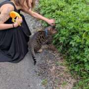 ヒメ日記 2026/04/06 10:32 投稿 あさみ 熟女の風俗最終章 本厚木店