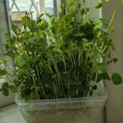 ヒメ日記 2026/04/10 10:02 投稿 あさみ 熟女の風俗最終章 本厚木店