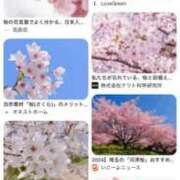 ヒメ日記 2024/12/15 15:04 投稿 あんり 北九州人妻倶楽部（三十路、四十路、五十路）