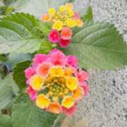 ヒメ日記 2024/12/16 11:30 投稿 あんり 北九州人妻倶楽部（三十路、四十路、五十路）