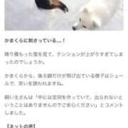 ヒメ日記 2025/01/16 10:05 投稿 あんり 北九州人妻倶楽部（三十路、四十路、五十路）