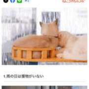 ヒメ日記 2025/01/17 08:02 投稿 あんり 北九州人妻倶楽部（三十路、四十路、五十路）