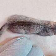 ヒメ日記 2025/05/28 08:35 投稿 あんり 北九州人妻倶楽部（三十路、四十路、五十路）