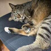 ヒメ日記 2025/05/28 17:34 投稿 あんり 北九州人妻倶楽部（三十路、四十路、五十路）