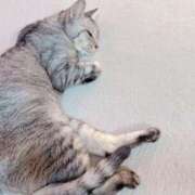 ヒメ日記 2025/05/28 22:24 投稿 あんり 北九州人妻倶楽部（三十路、四十路、五十路）