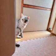 ヒメ日記 2025/05/28 22:37 投稿 あんり 北九州人妻倶楽部（三十路、四十路、五十路）