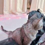 ヒメ日記 2025/05/29 10:31 投稿 あんり 北九州人妻倶楽部（三十路、四十路、五十路）